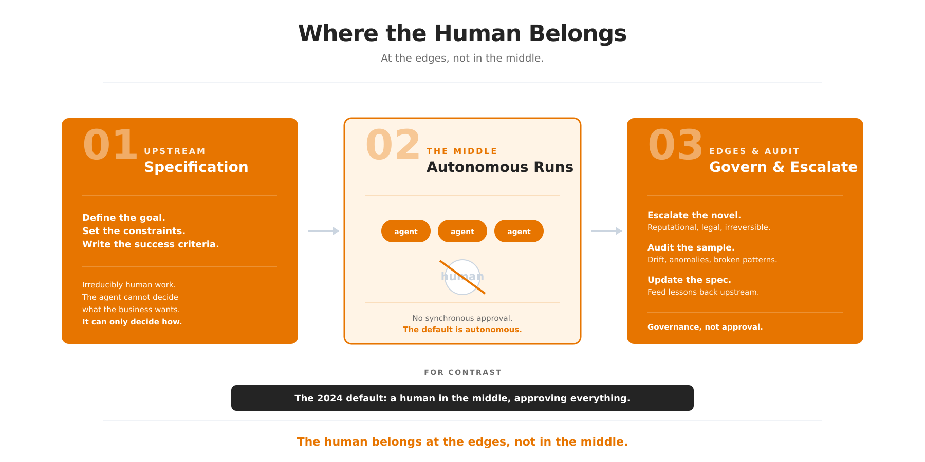 Where the Human Belongs